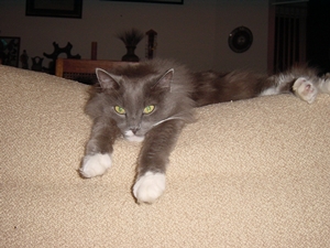 お得意の怠け者ポーズ