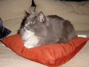 まだかしこまっていた頃