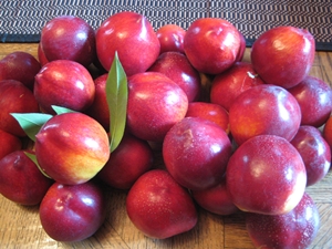 nectarine